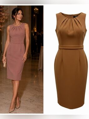 Safiyaa Pink Sheath Midi Dress Mauve Crepe Pleated Neck Belted NWOT US8 🟠